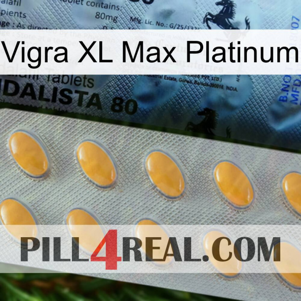 Vigra Xl Max Platinum 44.jpg